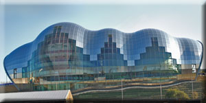 Sage and my favourite onion (Kay)